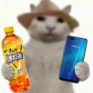 劲爆百合人人叫好