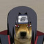 Amaterasu.-