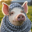 PIG MUHAMMED