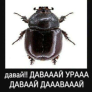 Навозный жук