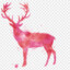 pinkdeer &lt;3