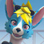 HiroCorgi