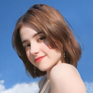 佛罗里达扫黑警长迈克