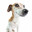 BARK