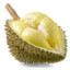 Durian Montok