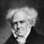 Arthur Schopenhauer