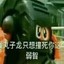 丸几龙啊