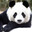 PandaBear