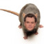 Rat Damon
