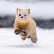 人潮拥挤我踹死你