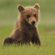 Simon - steam id 76561198244725498