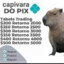 capivara do pix