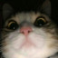 Dexter