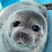 要是有任意门就好了