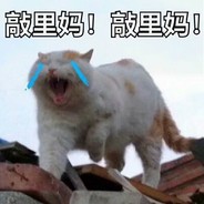 落尽红樱君不见