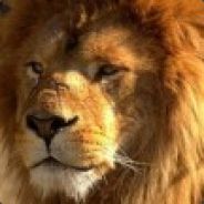 Leo*