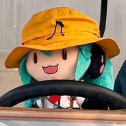 小帽帽猫