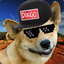 Dingo Player