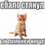 forever young