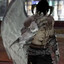 pradablades Avatar of player pradablades