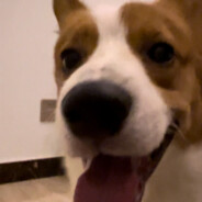 长寿大街水蜜桃ppp