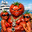 Tomato Man