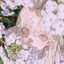 Ieryth