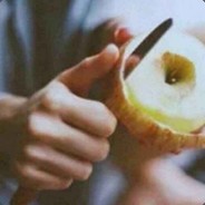 1145085250