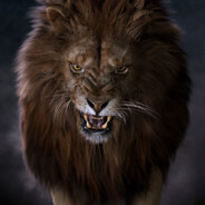 High kick - steam id 76561199753247655