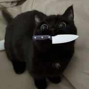 𝒦𝒾𝓉𝓉𝒾♡