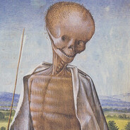 kazarei avatar