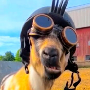 ɪɪɪɪɪɪɪɪɪɪɪɪɪɪ