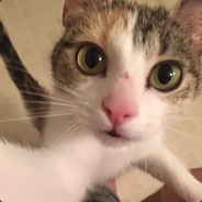 WheezeJuice Twitch avatar