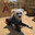 la caniche mia