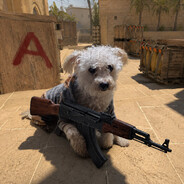 la caniche mia