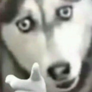 请问阿伟家在哪里