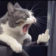 meowth - steam id 76561199547998542