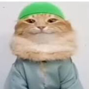 Кирилл avatar