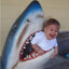 babyshark