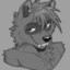 KoolRaccoon