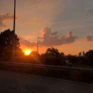 青椒豆腐乳西瓜