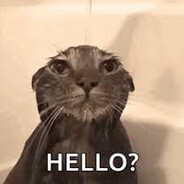 Nush - steam id 76561199688718442