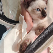 饼饼饼饼饼饼饼饼