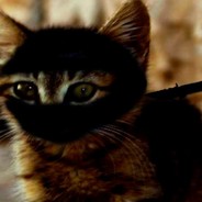PheNom.ninja.MIS - steam id 76561197960980384