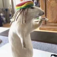RatAtoui Steam avatar