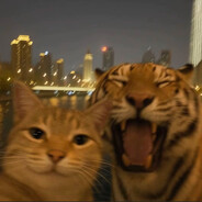 VVVVVVVVVVVVVVV76561199862927241