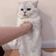 顶风尿尿鸡拔凉