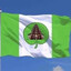 D3T9