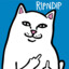 RIPNDIP