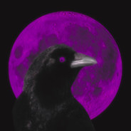 Midnight_Crow avatar